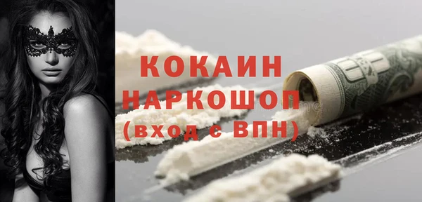 соль ск Алексин