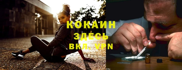 соль ск Алексин