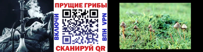 Галлюциногенные грибы Magic Shrooms  Тосно 